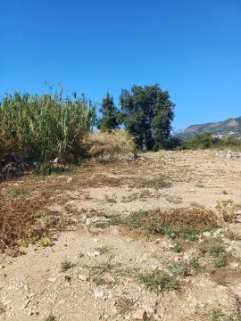 Pogled na plac sa rastinjem i drvećem u pozadini. - image 6
