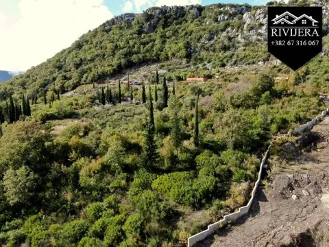 Prodaja, plac, 3849m², Trebesinj, Herceg Novi - image 9