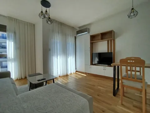 Izdavanje, stan, 33m², Zabjelo, Podgorica - image 4