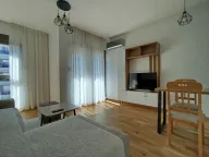 Izdavanje, stan, 33m², Zabjelo, Podgorica - image 4
