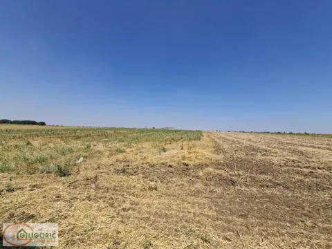 Zemljište in Surčin