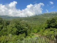 Sale, land lot, 2420m², Radanovići, Kotor - image 4
