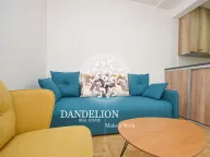 Izdavanje, stan, 25m², Vezirov Most, Podgorica - image 3