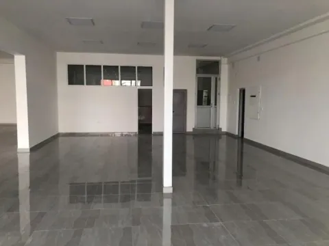 Izdavanje, poslovni prostor, 660m², Zemun Nova Galenika, Zemun Sve Podlokacije - image 13