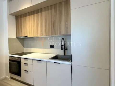 Rent, apartment, 35m², Zabjelo, Podgorica - image 12