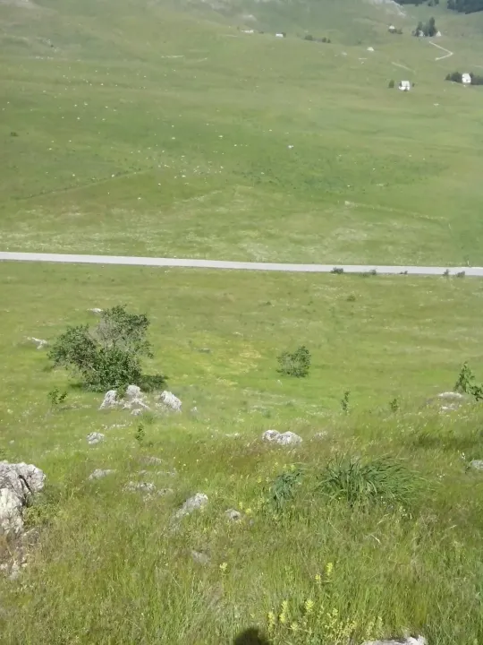 Sale, land lot, 67219m², Gornja Bukovica, Šavnik