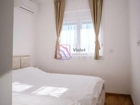 Izdavanje, jednosoban stan, 45m², Stari Aerodrom, Podgorica - image 10