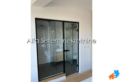 Modern glass doors and partitions leading into the bathroom. - image 11