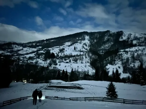 Sale, land lot, 10000m², Bare, Kolašin - image 5