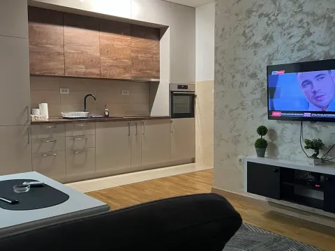 Izdavanje, jednosoban stan, 54m², Centar, Podgorica - image 4