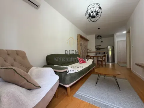 Rent, one bedroom apartment, 40m², Central Point, Podgorica - image 11