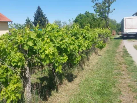 Sale, land lot, 751m², Novi Majur, Petrovaradin - image 2