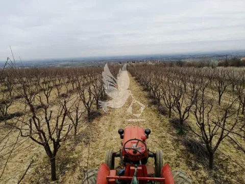 Prodaja, plac, 13700m², Koraćica, Mladenovac - image 2