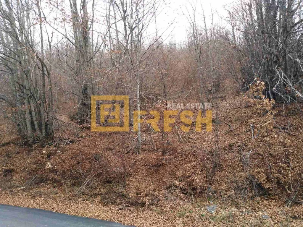 Prodaja, plac, 500m², Ostalo, Podgorica