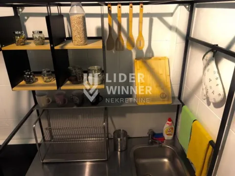 Izdavanje, dvosoban stan, 55m², Stari Grad, Beograd - image 5