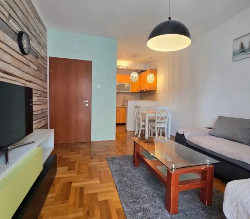 Rent, one bedroom apartment, 47m², Zabjelo, Podgorica
