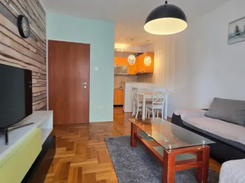 Izdavanje, jednosoban stan, 47m², Zabjelo, Podgorica - image 1