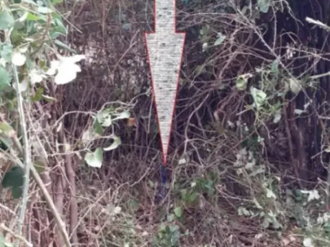 Prodaja, plac, 1287m², Bartula, Bar - image 5