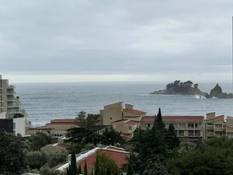 Prodaja, jednosoban stan, 38m², Petrovac, Budva - image 8