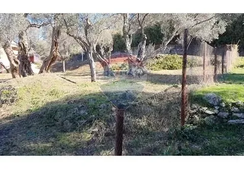 Prodaja, plac, 837m², Kunje, Bar - image 6