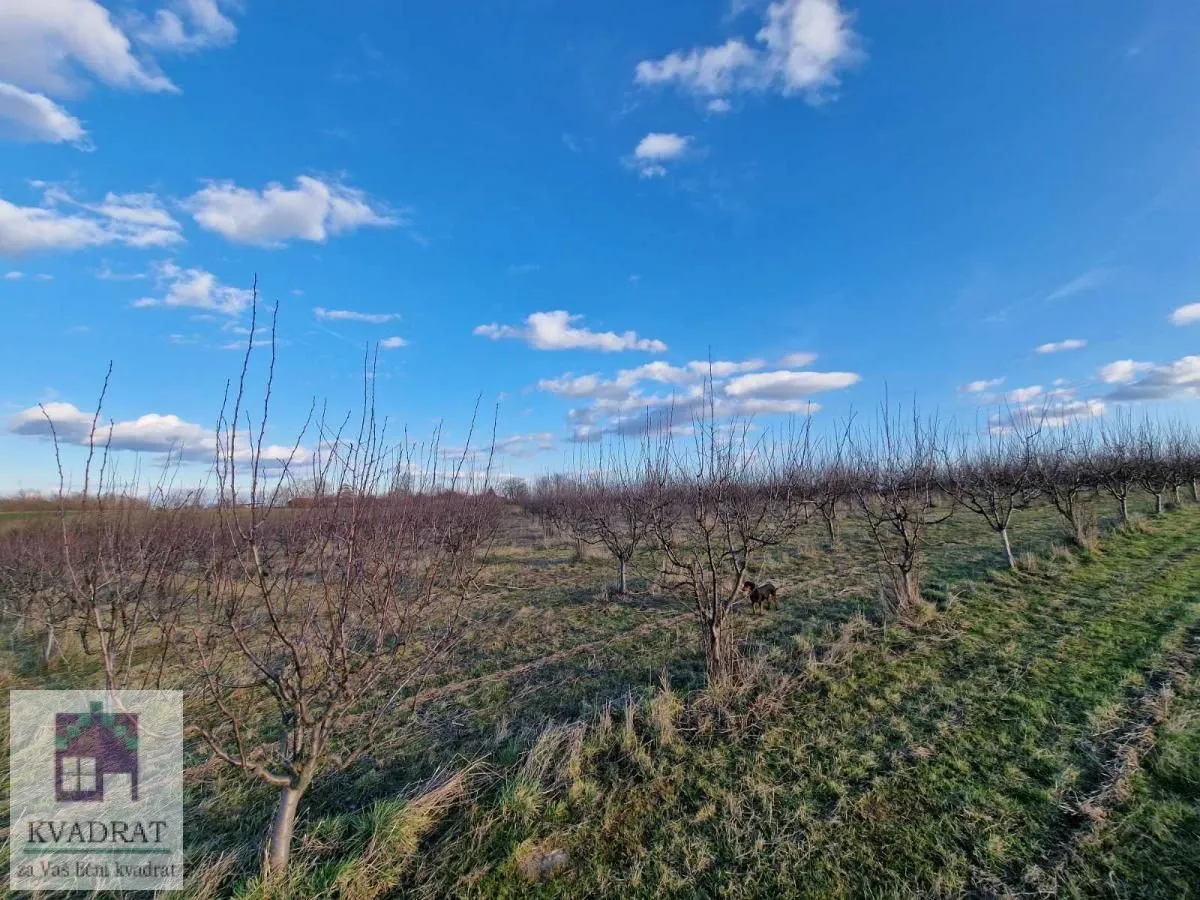 Prodaja, plac, 38000m², Kožuar, Ub