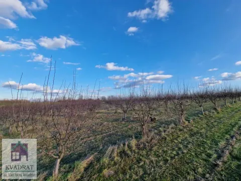 Prodaja, plac, 38000m², Kožuar, Ub - image 7