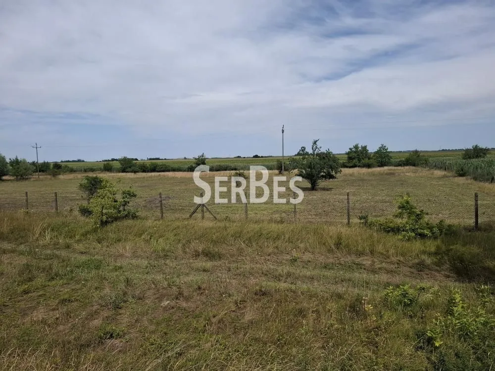 Prodaja, plac, 19197m², Čenej, Novi Sad Sve Podlokacije