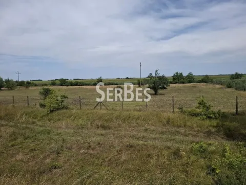 Prodaja, plac, 19197m², Čenej, Novi Sad Sve Podlokacije - image 5