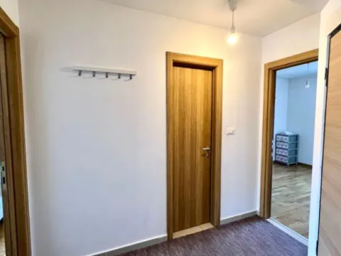 Izdavanje, jednosoban stan, 60m², Ljubović, Podgorica - image 7