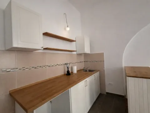 Rent, three bedroom apartment, 120m², Kalenić Pijaca, Vračar Sve Podlokacije - image 7