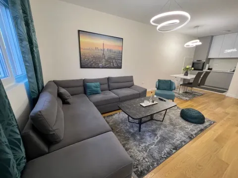 Izdavanje, jednosoban stan, 49m², Central Point, Podgorica - image 3