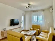 Izdavanje, jednosoban stan, 50m², Stari Aerodrom, Podgorica - image 4