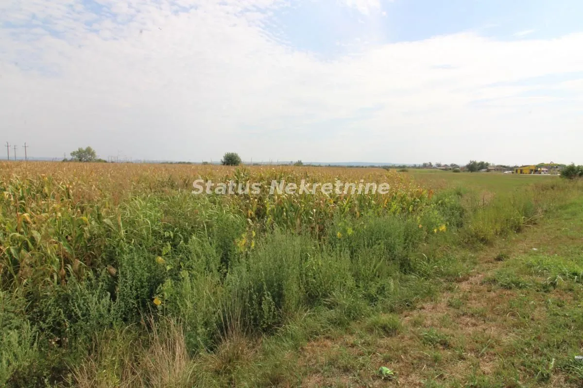 Prodaja, plac, 921300m², Bela Palanka, Srbija