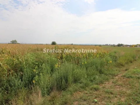 Prodaja, plac, 9213m², Bela Palanka, Srbija - image 2