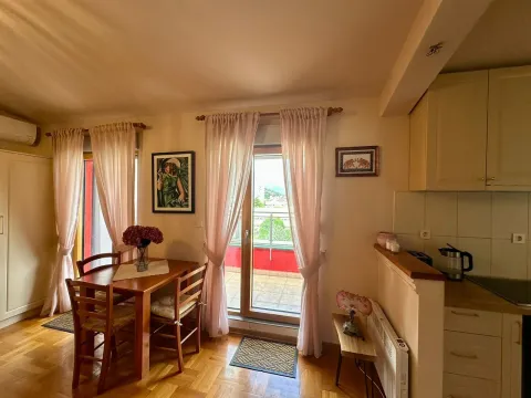 Izdavanje, jednosoban stan, 37m², Preko Morače, Podgorica - image 4