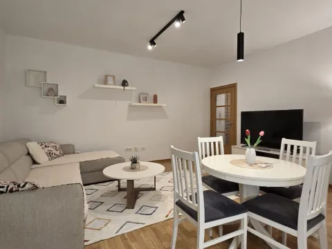 Rent, one bedroom apartment, 46m², Nova Dalmatinska, Podgorica - image 2