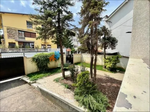 Zeleno dvorište sa stablima i uređenom stazom ispred kuće. - image 11