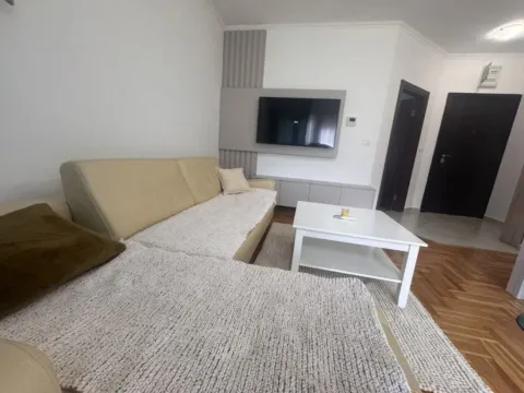 Izdavanje, jednosoban stan, 40m², Golubovina, Budva - image 3