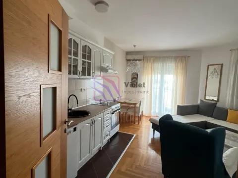 Rent, one bedroom apartment, 45m², Stari Aerodrom, Podgorica - image 2