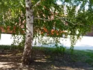 Sale, house, 200m², Kotež 2, Pančevo - image 10