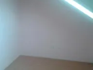 Izdavanje, poslovni prostor, 800m², Zemun Sve Podlokacije, Beograd - image 12