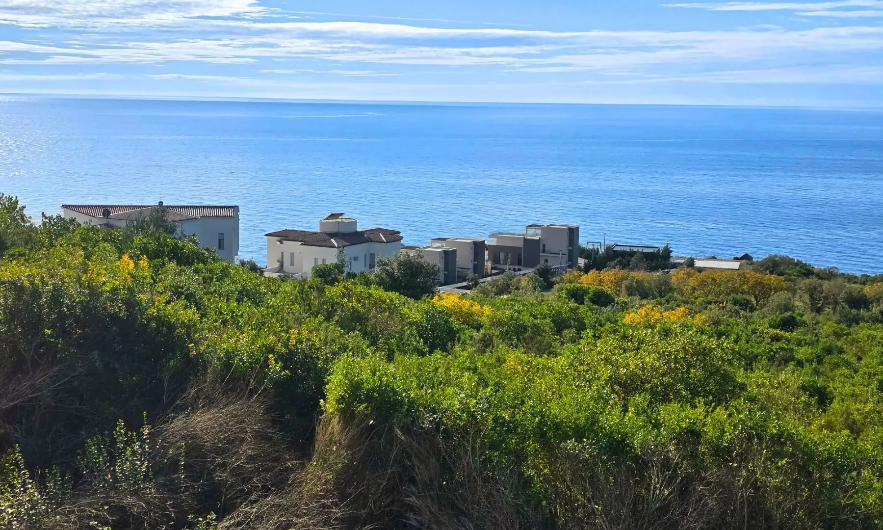 Prodaja, plac, 2000m², Krimovica, Kotor