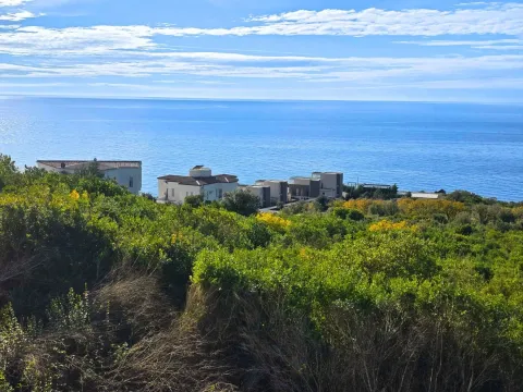 Prodaja, plac, 2000m², Krimovica, Kotor - image 5