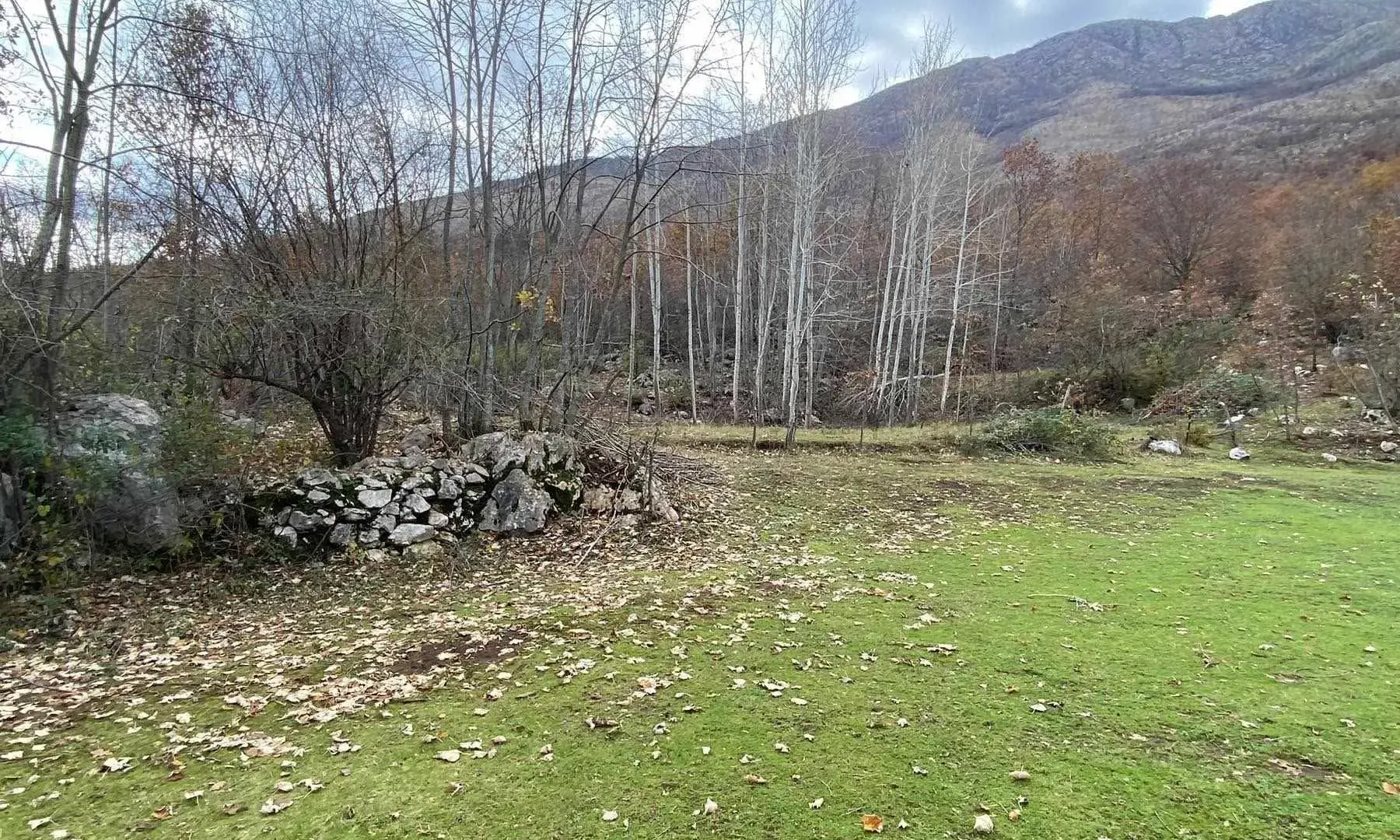 Prodaja, kuća, 75000m², Zagreda, Danilovgrad