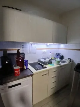 Rent, office space, 734m², Južni Bulevar, Vračar Sve Podlokacije - image 4
