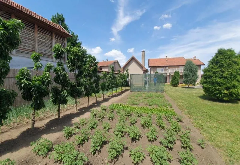 Sale, house, 230m², Temerin, Novi Sad