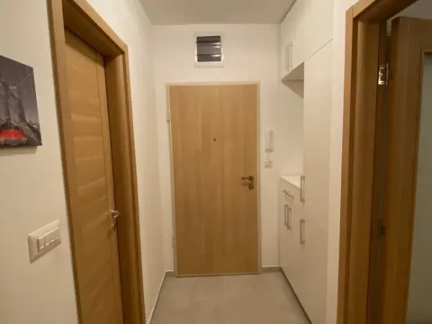 Prodaja, jednosoban stan, 50m², Stari Aerodrom, Podgorica - image 9