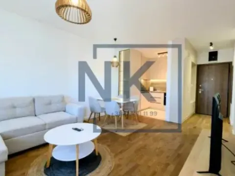 Izdavanje, jednosoban stan, 45m², Stari Aerodrom, Podgorica - image 4