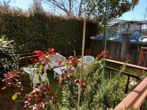 Rent, house, 220m², Tološi, Podgorica - image 4