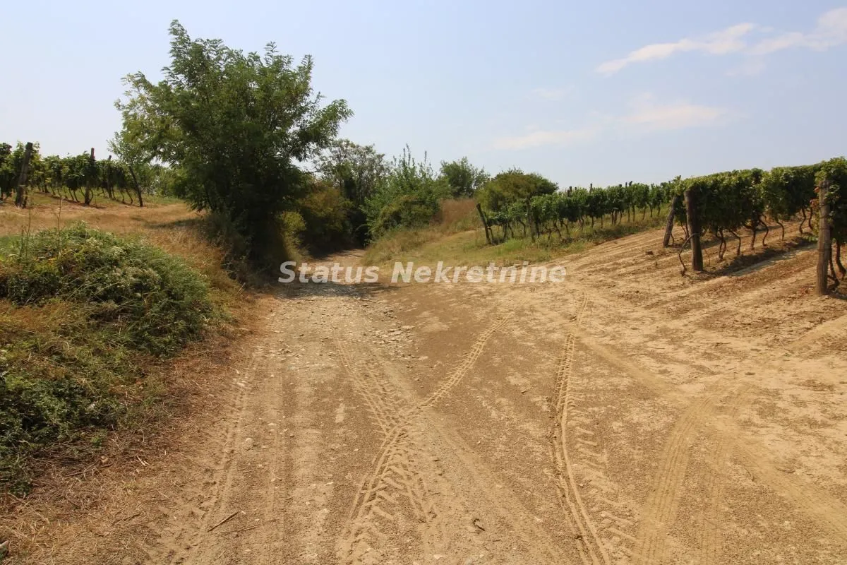 Prodaja, plac, 4502m², Beočin, Srbija